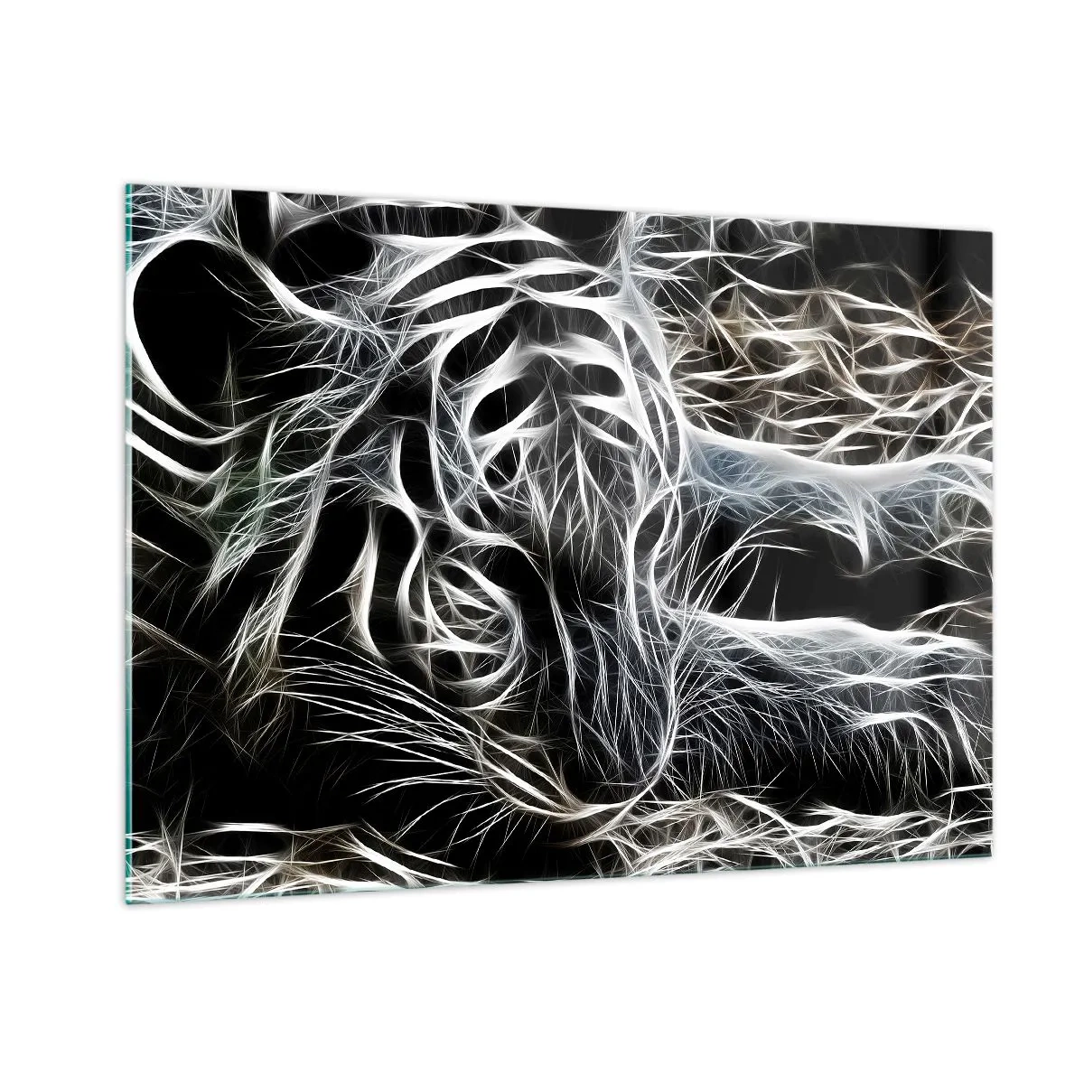 Obraz na skle - Studie kočičí lehkosti - 100x70 cm