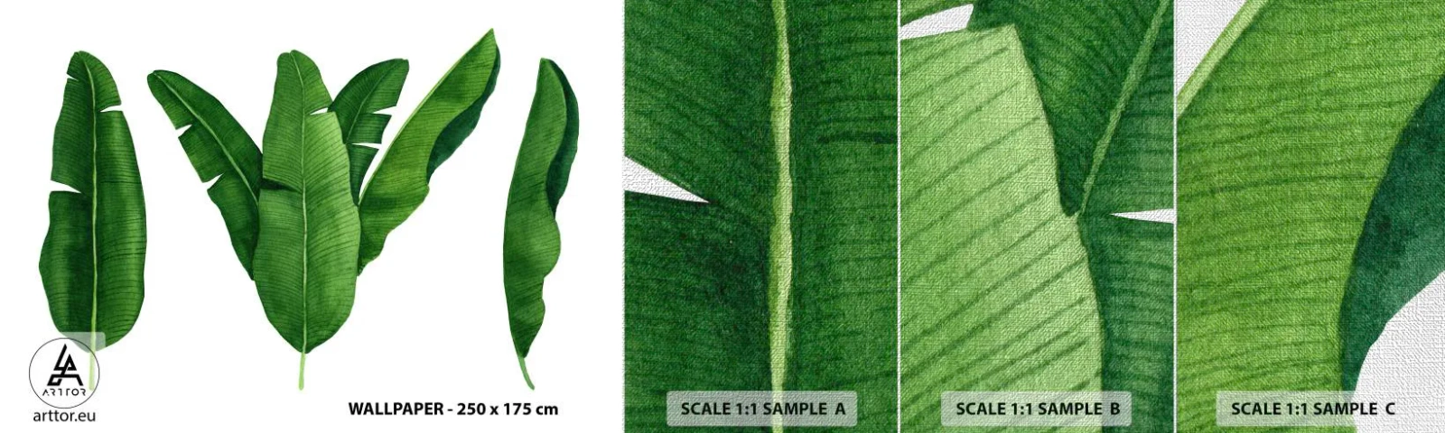 Vzor Fototapety Premium Canvas - Zelená symetrie - Banánový list, Tropický, Botanický styl - 100x30 cm