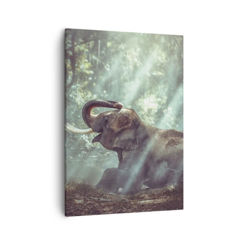 Obraz na plátně - A poslouchej tohle… - 50x70 cm