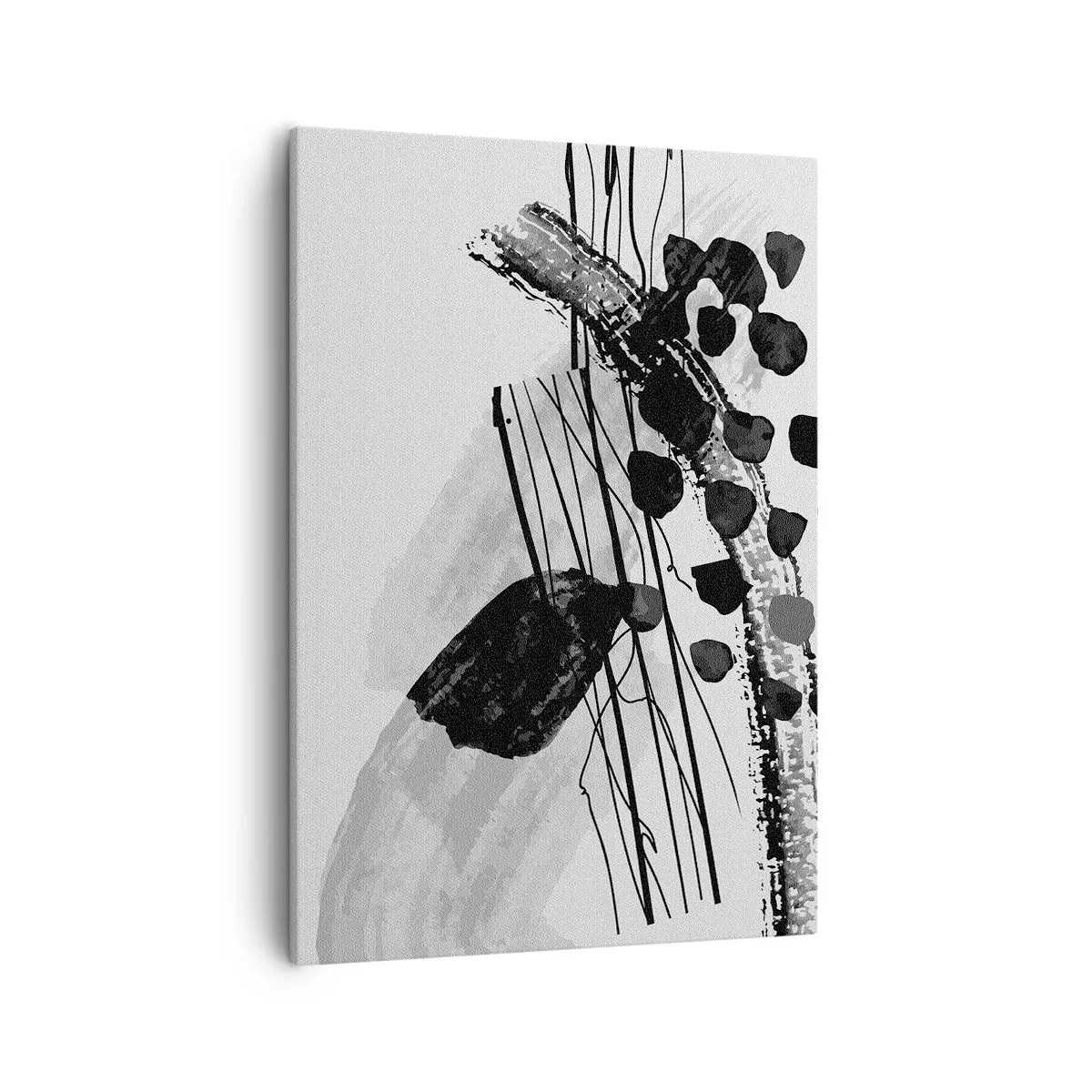Obraz na plátně - Černobílá organická abstrakce - 50x70 cm