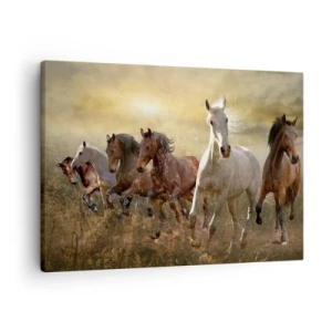 Obraz na plátně - Skupina cválajících koní na pozadí zapadajícího slunce - 70x50cm - Ať žije svoboda! - Moderní nástěnná dekorace do obývacího pokoje a ložnice ARTTOR