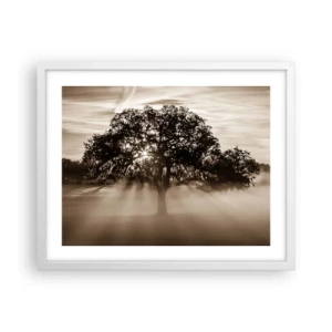 Plakát v bílém rámu - Strom zpráv samotného dobra - 50x40 cm