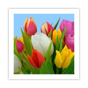 Plakát - Květinová duha v kapkách rosy - 50x50 cm