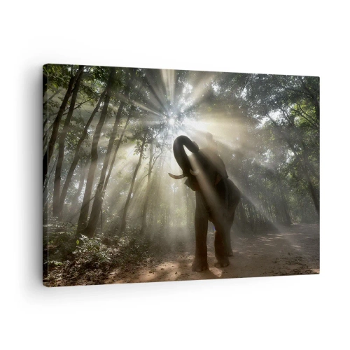 Obraz na plátně - Slon v lese obklopený paprsky světla v ranní mlze - 70x50cm - Pod šťastnou hvězdou - Moderní nástěnná dekorace do obývacího pokoje a ložnice ARTTOR