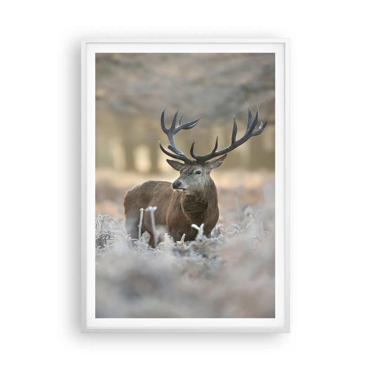 Plakát v bílém rámu - Svěží ráno - 70x100 cm