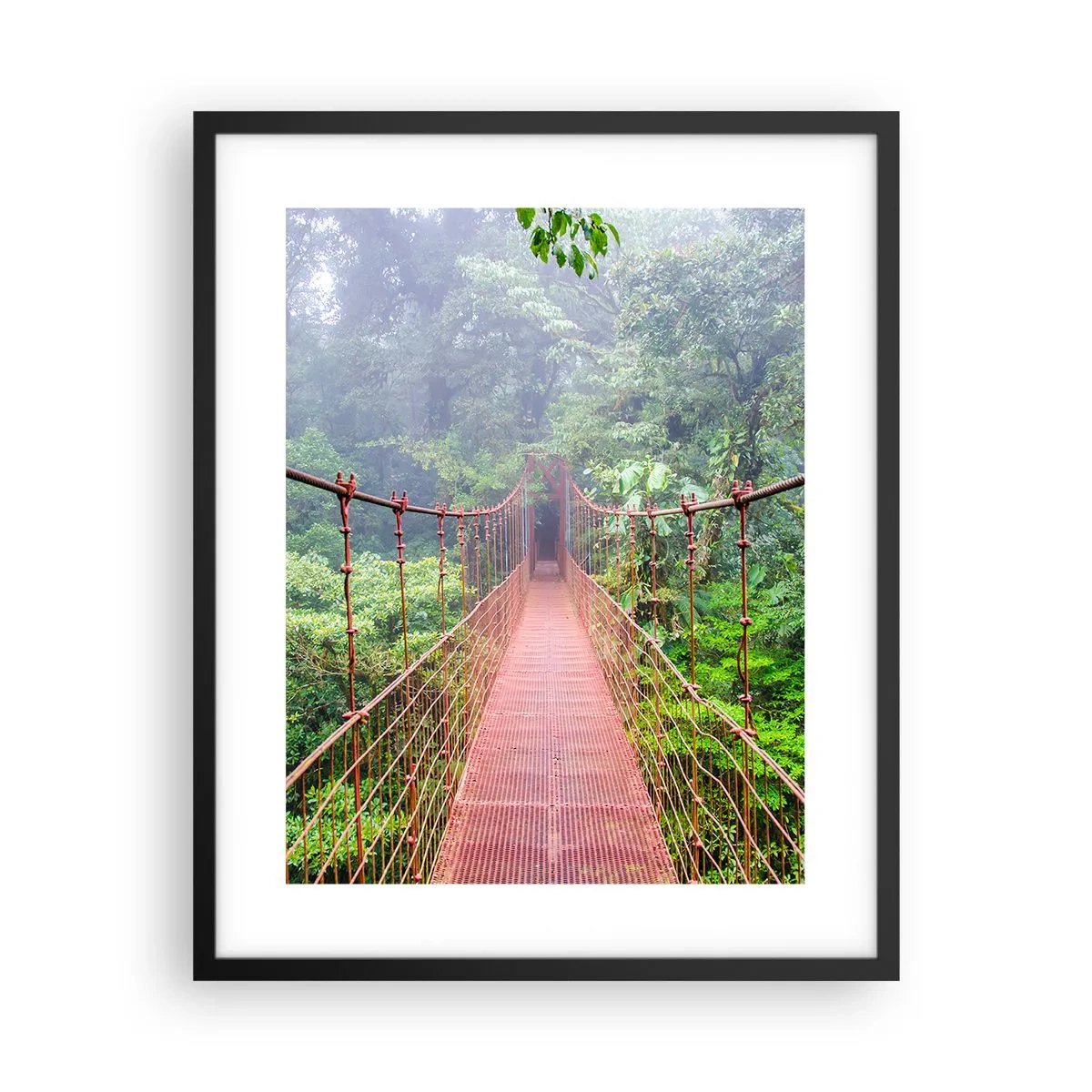 Plakát v černém rámu - Zavěšený nad korunami - 40x50 cm