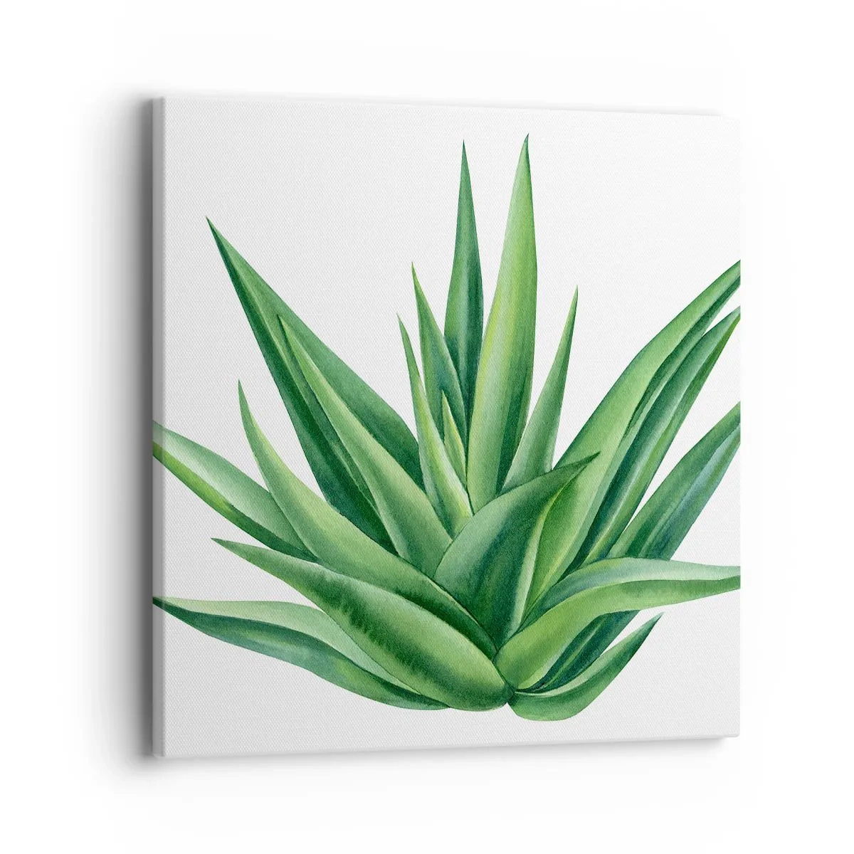 Obraz na plátně - Zelená – síla – život - 40x40 cm