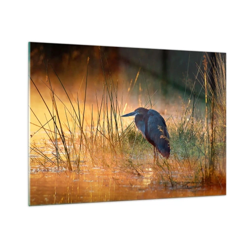 Obraz na skle - Ušetřete mě těch fotek - 100x70 cm