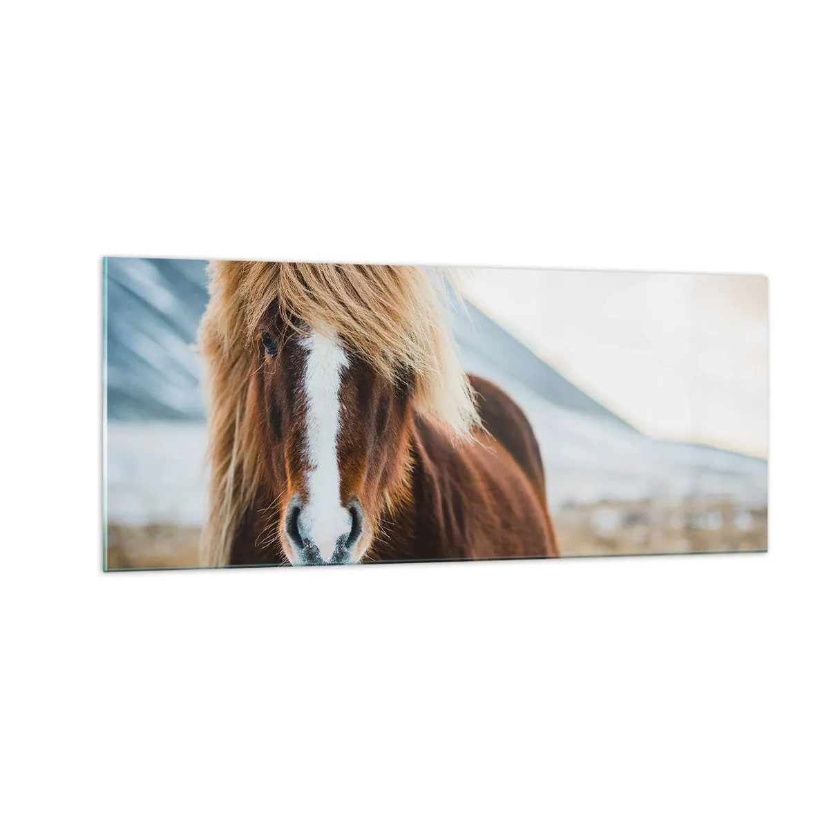 Obraz na skle - Cítíš svobodu? - 100x40 cm