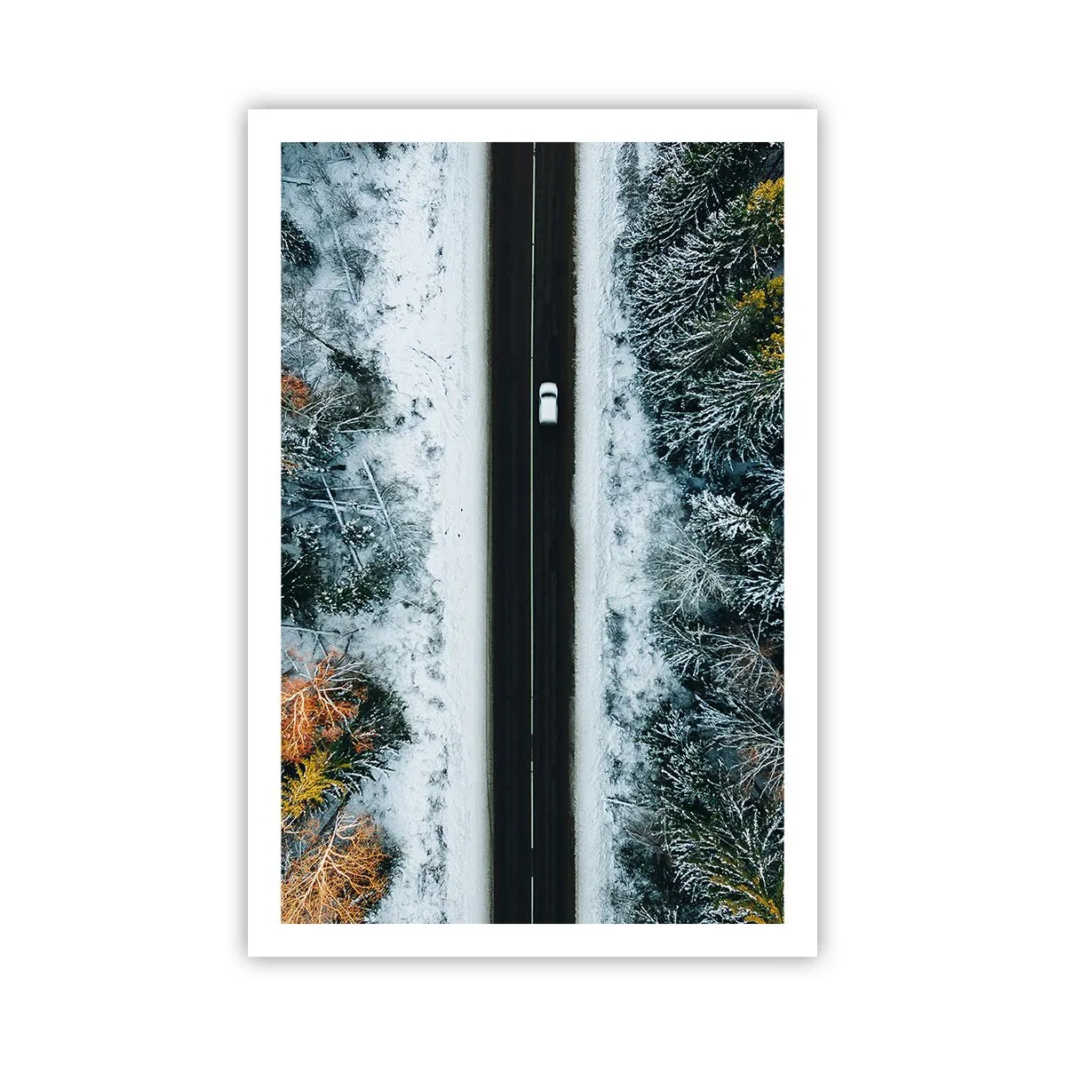 Plakát - Přes zimní les - 61x91 cm