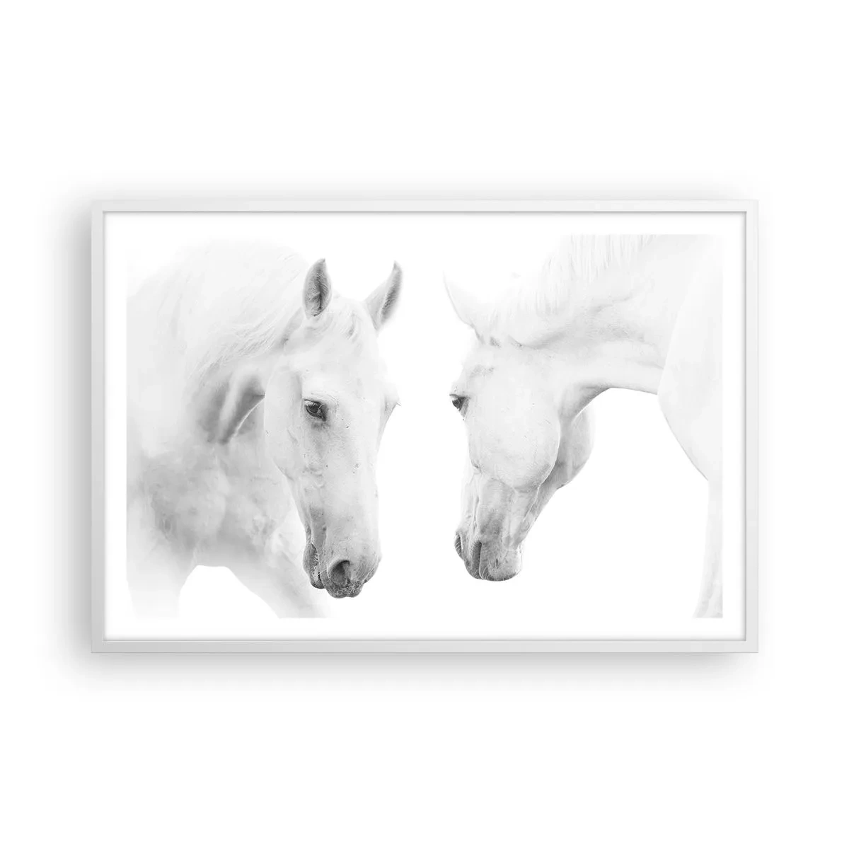 Plakát v bílém rámu - Je to přátelství…? - 91x61 cm