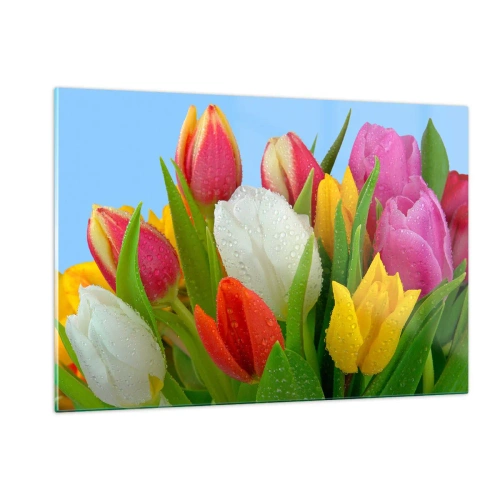 Obraz na skle - Květinová duha v kapkách rosy - 120x80 cm