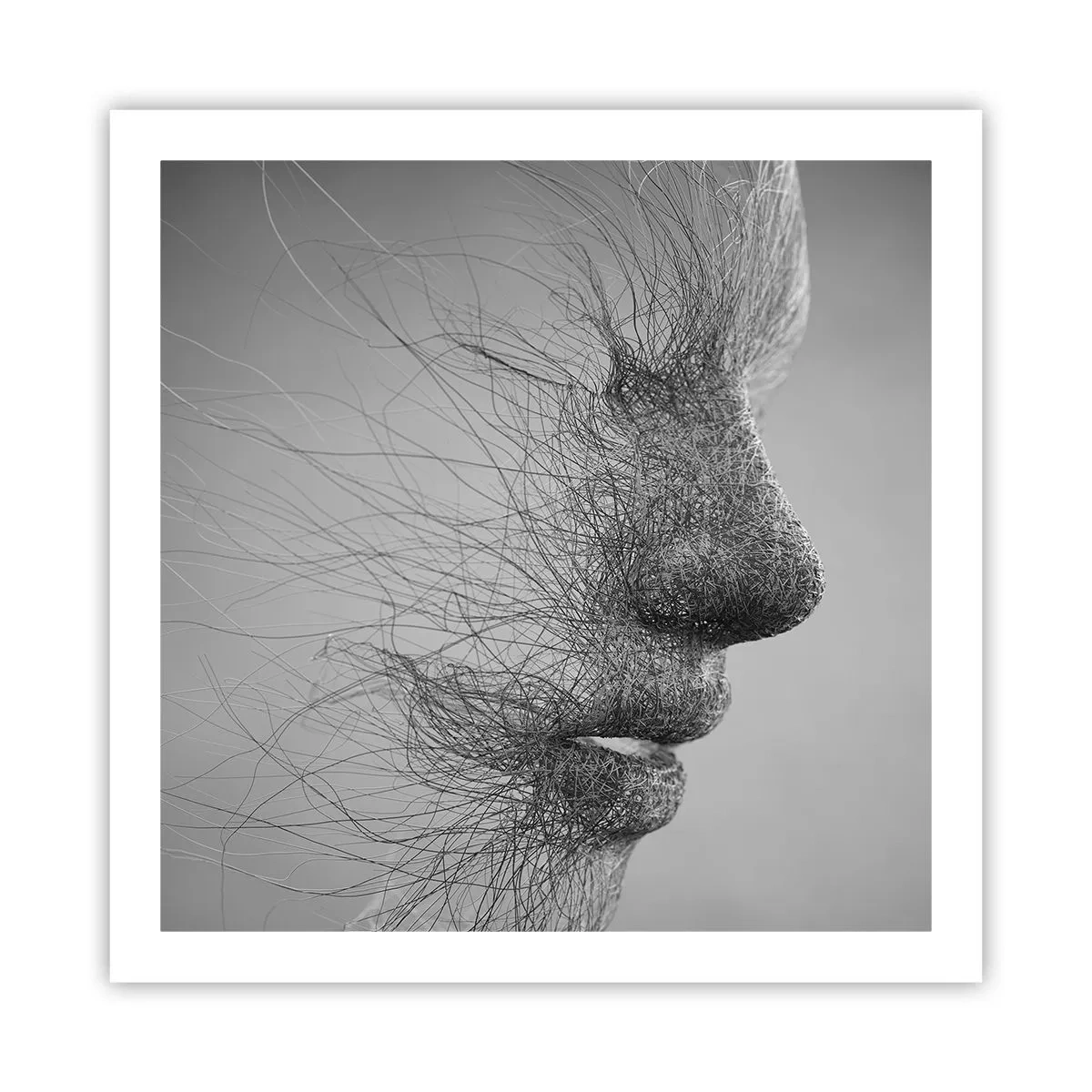 Plakát - Duch větru - 60x60 cm