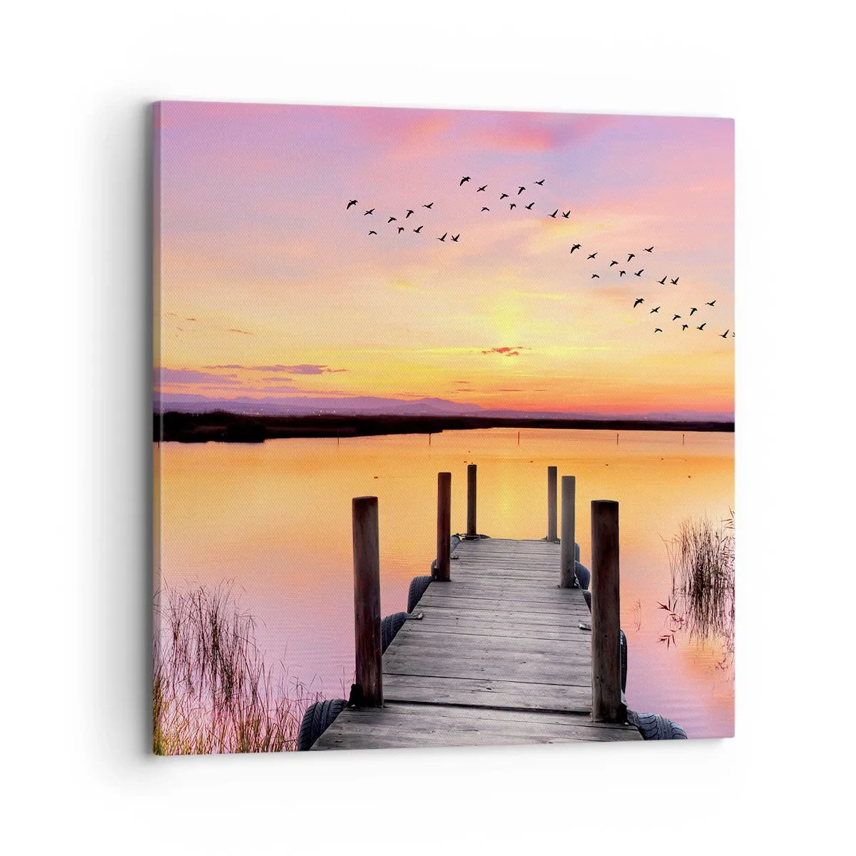 Obraz na plátně - Fialové tiché svítání - 70x70 cm