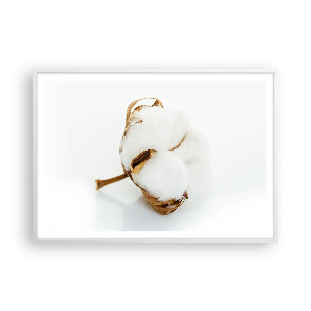 Plakát v bílém rámu - Měkká od přírody - 100x70 cm