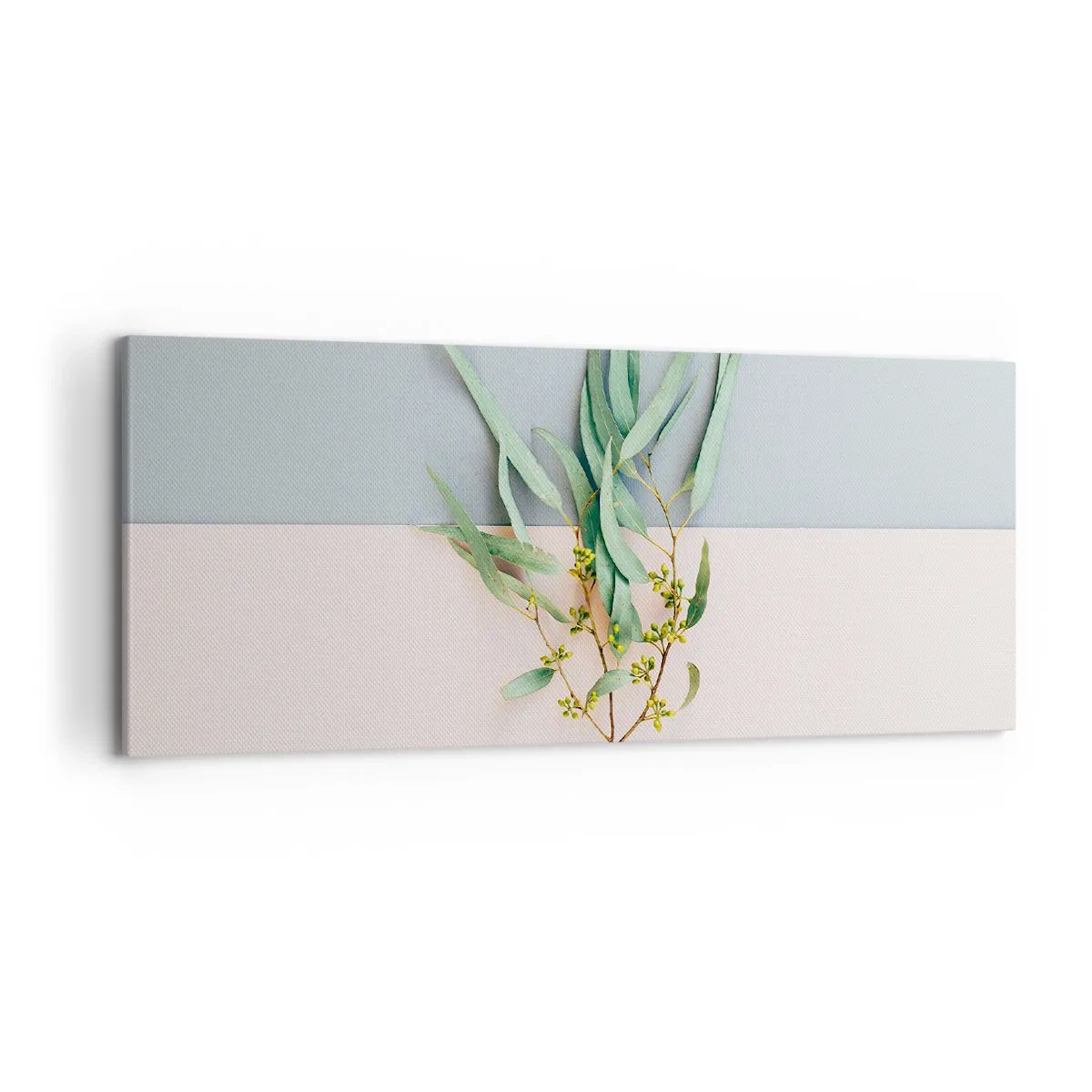 Obraz na plátně - Pastelová jemnost - 120x50 cm