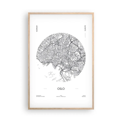 Plakát v rámu světlý dub - Anatomie Osla - 61x91 cm