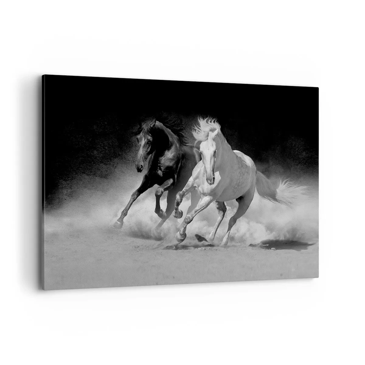 Obraz na plátně - Cval svobody - 120x80 cm
