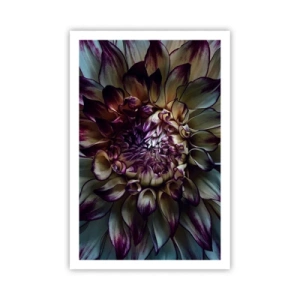 Plakát - Rozkvět mládí - 61x91 cm