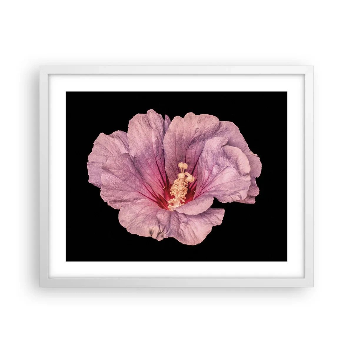 Plakát v bílém rámu - Přímo do srdce - 50x40 cm