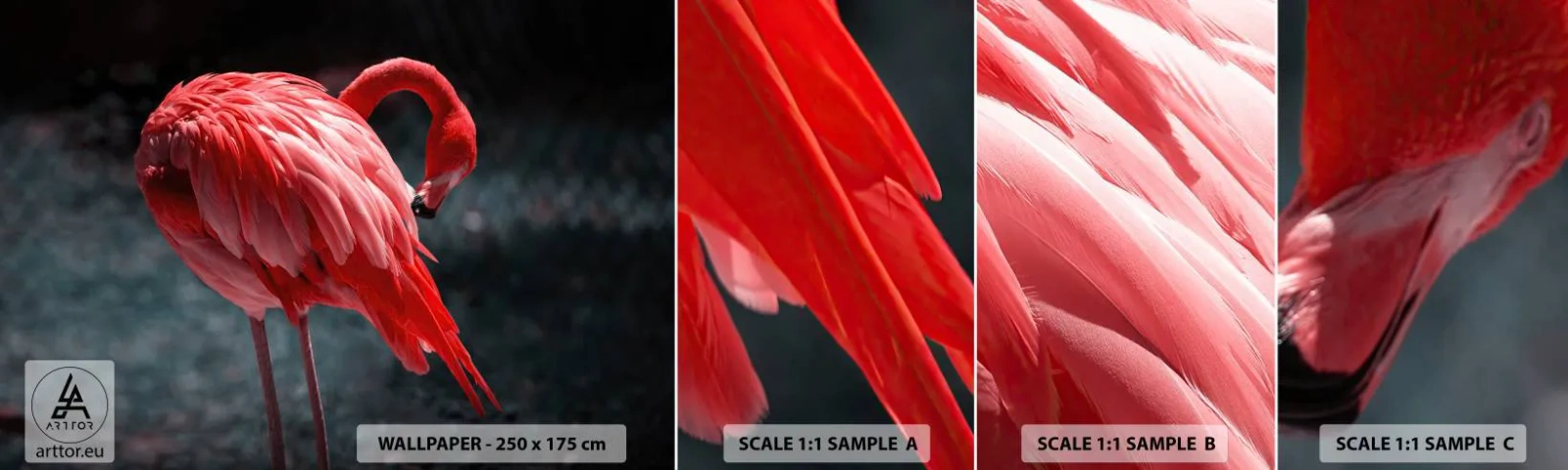 Fototapeta Vzorek Standard Eco - Karmínová báseň přírody - Plameňák, Pták, Příroda - 100x30 cm