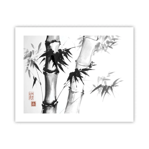 Plakát - Blízký záběr na orient - 50x40 cm