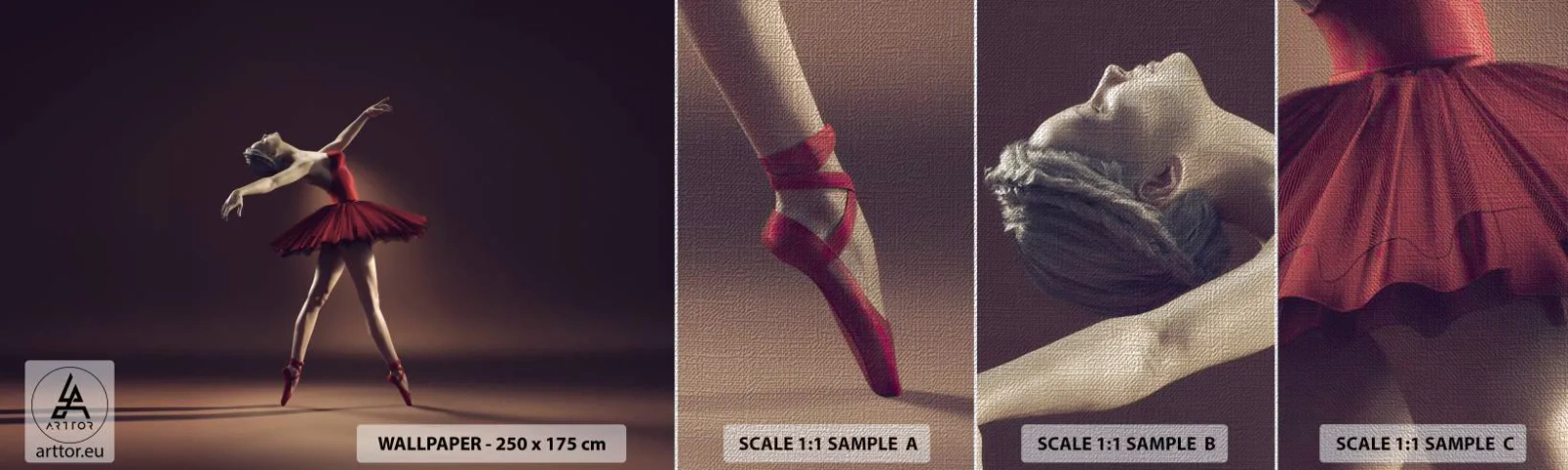 Vzor Fototapety Premium Canvas - Prima balerína - Balerína, Tanec, Balet - 100x30 cm