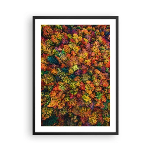 Plakát v černém rámu - Barevný les z ptačí perspektivy v jeho podzimní paletě - 50x70cm - Kytice podzimních stromů - Moderní nástěnná dekorace do obývacího pokoje a ložnice ARTTOR