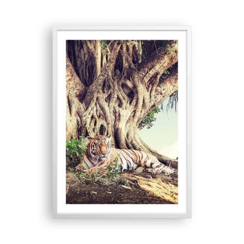 Plakát v bílém rámu - Pohled z knihy Mojžíšovy - 50x70 cm