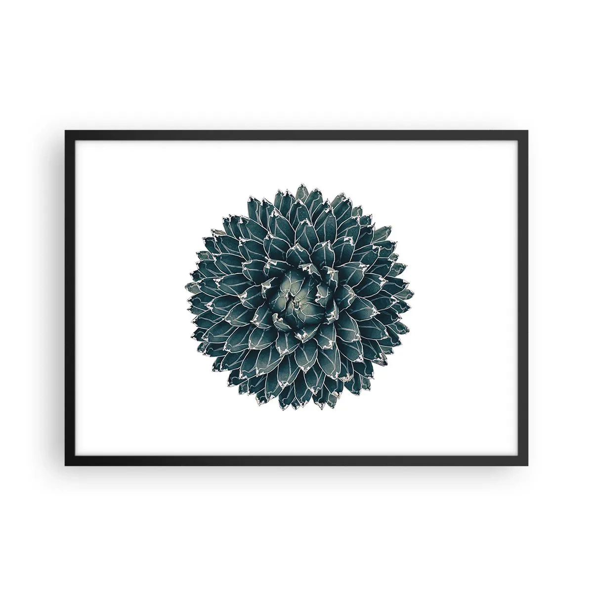 Plakát v černém rámu - Hvězda pouště - 70x50 cm