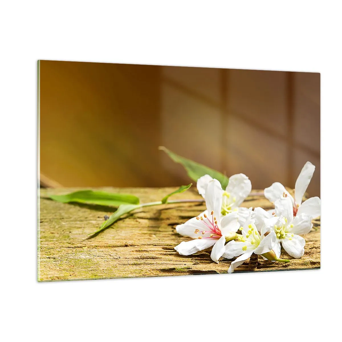 Obraz na skle - Nevinný slib - 120x80 cm