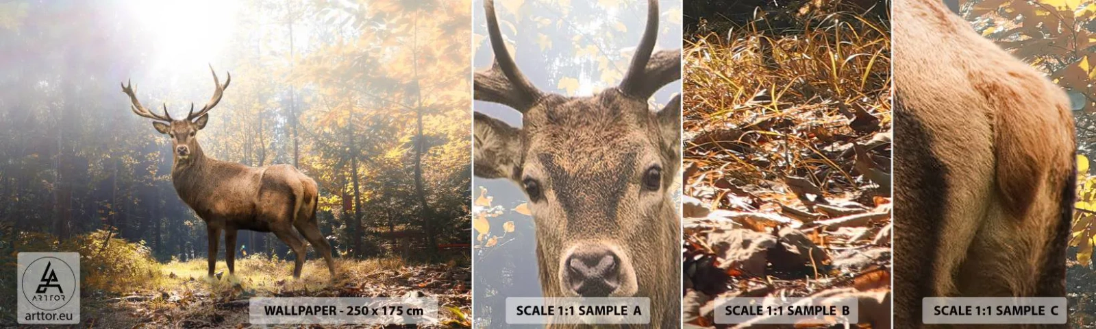 Vzor Fototapety Samolepicí Deluxe Sticker - Plné důstojnosti - Krajina, Jelen, Les - 100x30 cm