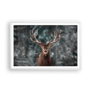 Plakát v bílém rámu - Skutečný král lesa - 91x61 cm