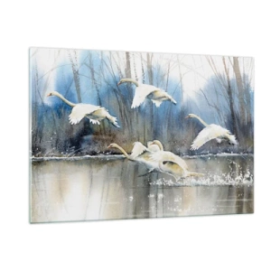 Obraz na skle - Jako v povídce o divokých labutích - 120x80 cm