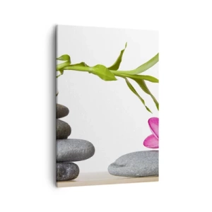 Obraz na plátně - Barvy života a trvání - 50x70 cm