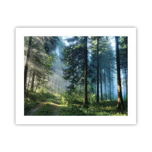 Plakát - Zářící za úsvitu - 50x40 cm