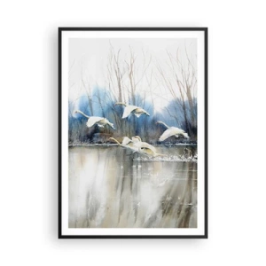 Plakát v černém rámu - Jako v povídce o divokých labutích - 70x100 cm