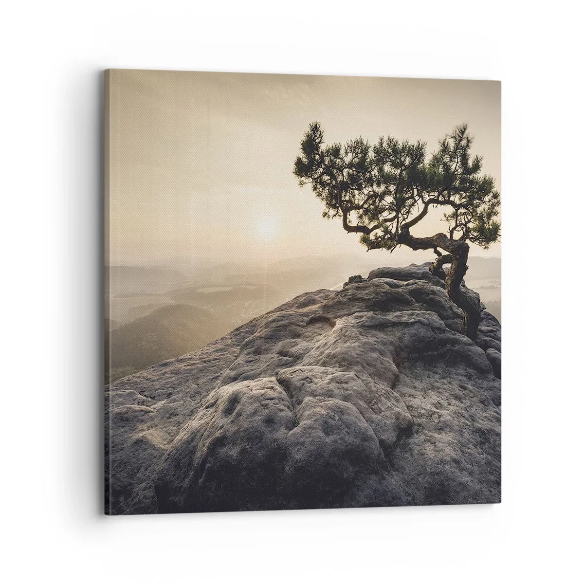 Obraz na plátně - Život vždy vítězí - 70x70 cm