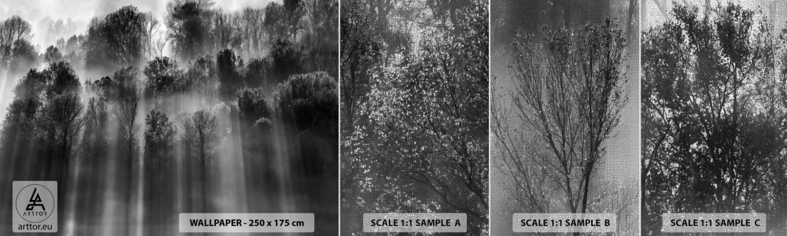 Vzor Fototapety Premium Canvas - V paprscích světla - Krajina, Les, Černý a bílý - 100x30 cm
