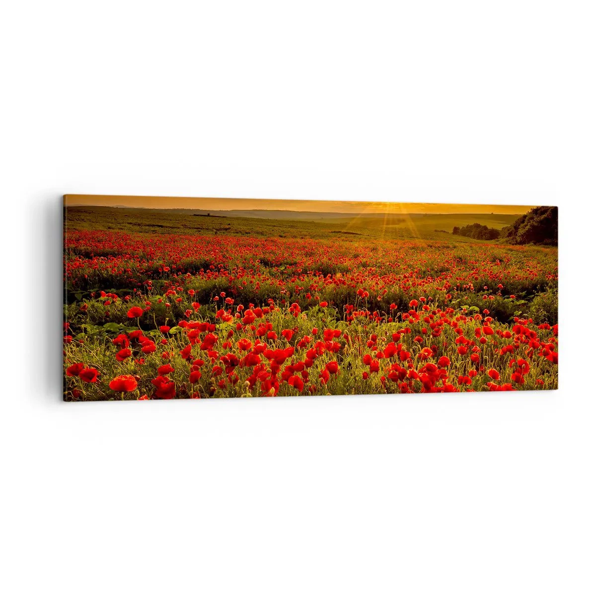 Obraz na plátně - Mezi vlnami šumících luk, mezi záplavou květů - 140x50 cm