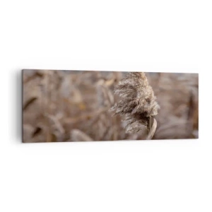 Obraz na plátně - Čas odletět s větrem - 140x50 cm