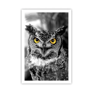 Plakát - Nic se neschová - 61x91 cm