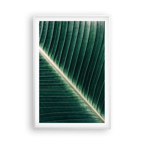 Plakát v bílém rámu - Rytmus přírody - 61x91 cm