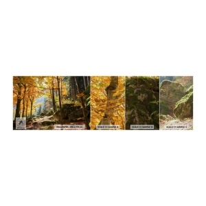 Vzor Fototapety Premium Canvas - Čas na odpočinek - Krajina, Les, Příroda - 100x30 cm