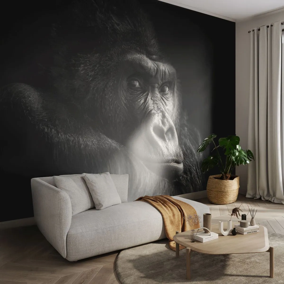 Fototapeta Premium Canvas - Na co tak koukáš? - Opice, Gorila, Zvířata - 250x175 cm