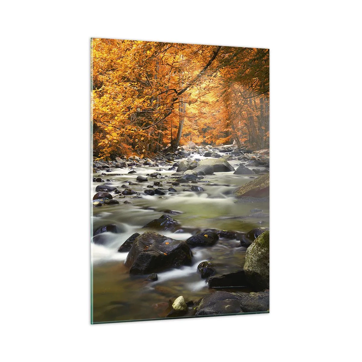 Obraz na skle - Potok ve zlatém lese - 50x70 cm