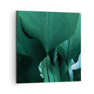 Obraz na plátně - Obrácené ke světlu - 50x50 cm