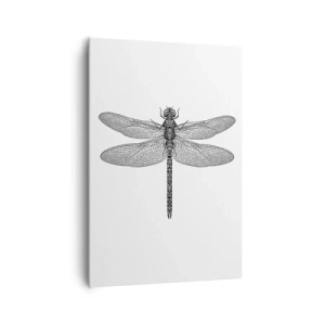 Obraz na plátně - Přesnost přírody - 70x100 cm