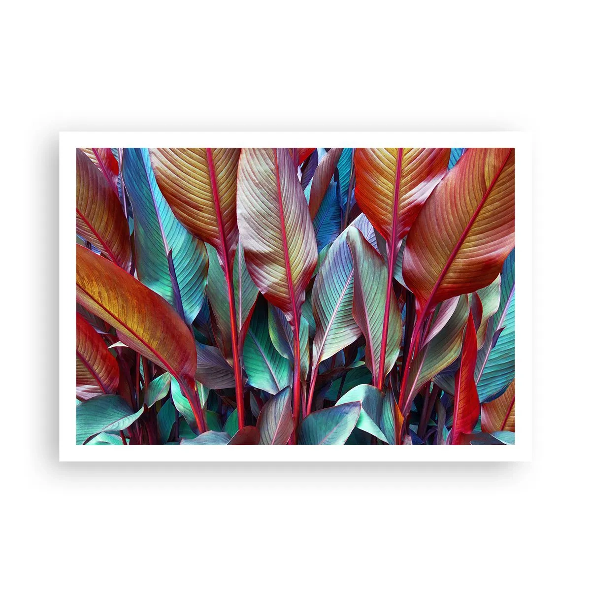 Plakát - Barevná houština - 100x70 cm