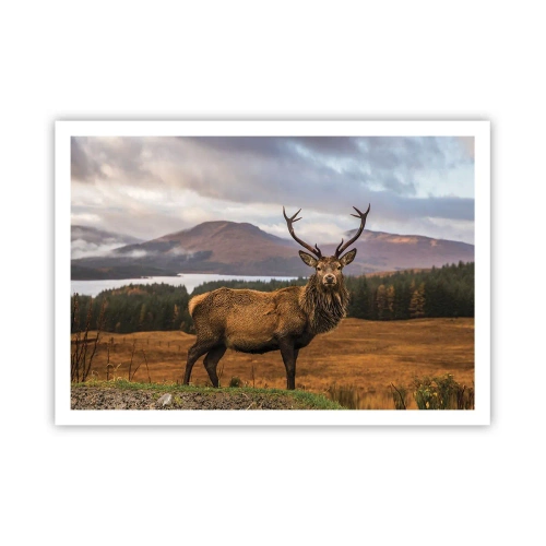 Plakát - Majestát přírody - 100x70 cm